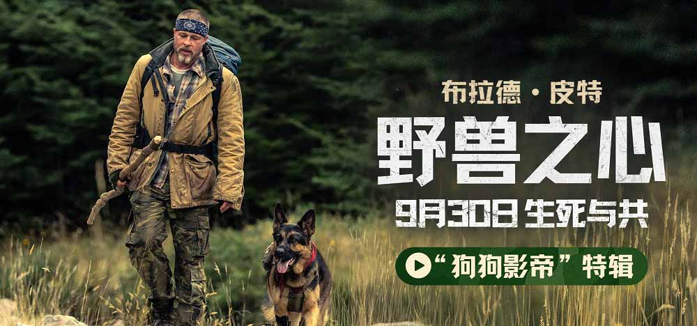 布拉德·皮特新片《野兽之心》发布“狗狗影帝”特辑 电影头号演员竟是它